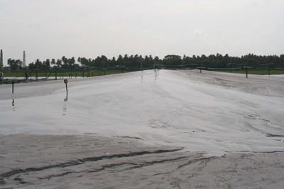 Dense Slurry Pumping