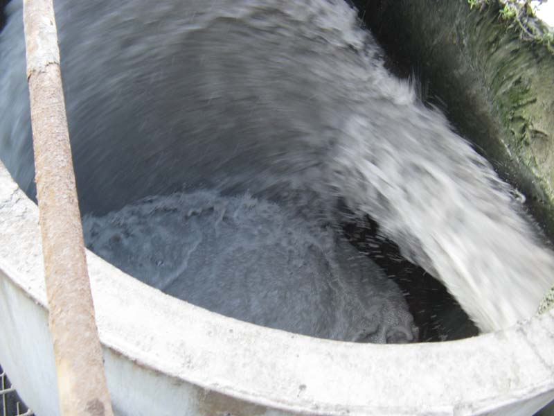 Water Entry at Settling Tank